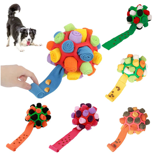 Hund spielt mit SniffyBall™ – fördert natürliche Instinkte und Konzentration