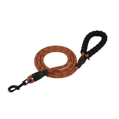Orangefarbene Hundeleine mit glänzendem Nylonband und stabilem Metallverschluss