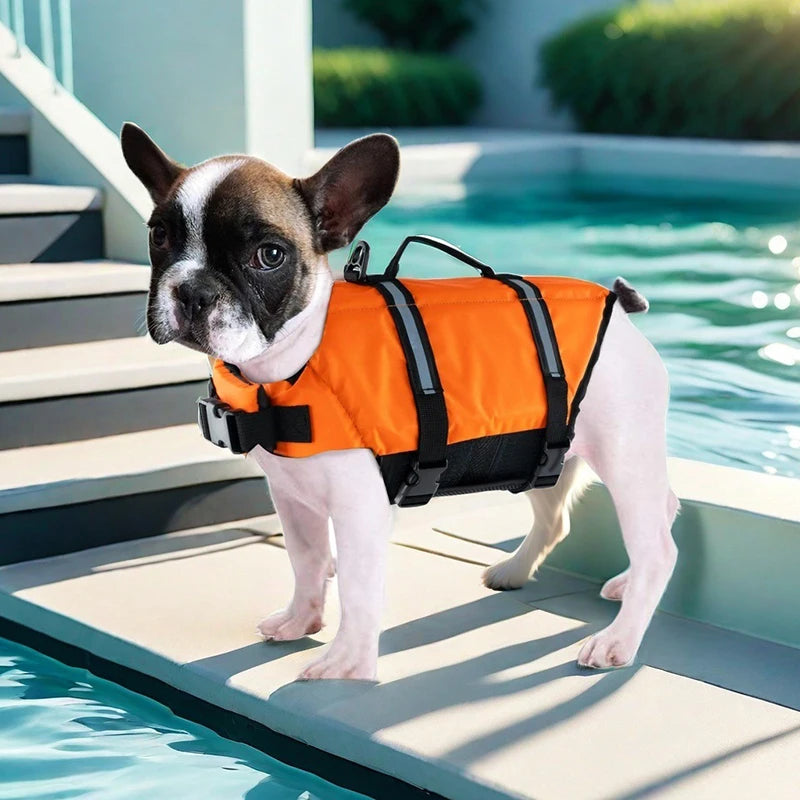 AquaPaws™ Schwimmweste für kleine Hunde in Orange mit Haltegriff