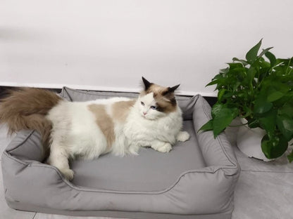 VelvPaw™ Designer Hundebett – Orthopädischer Luxus & Easy-Clean Komfort