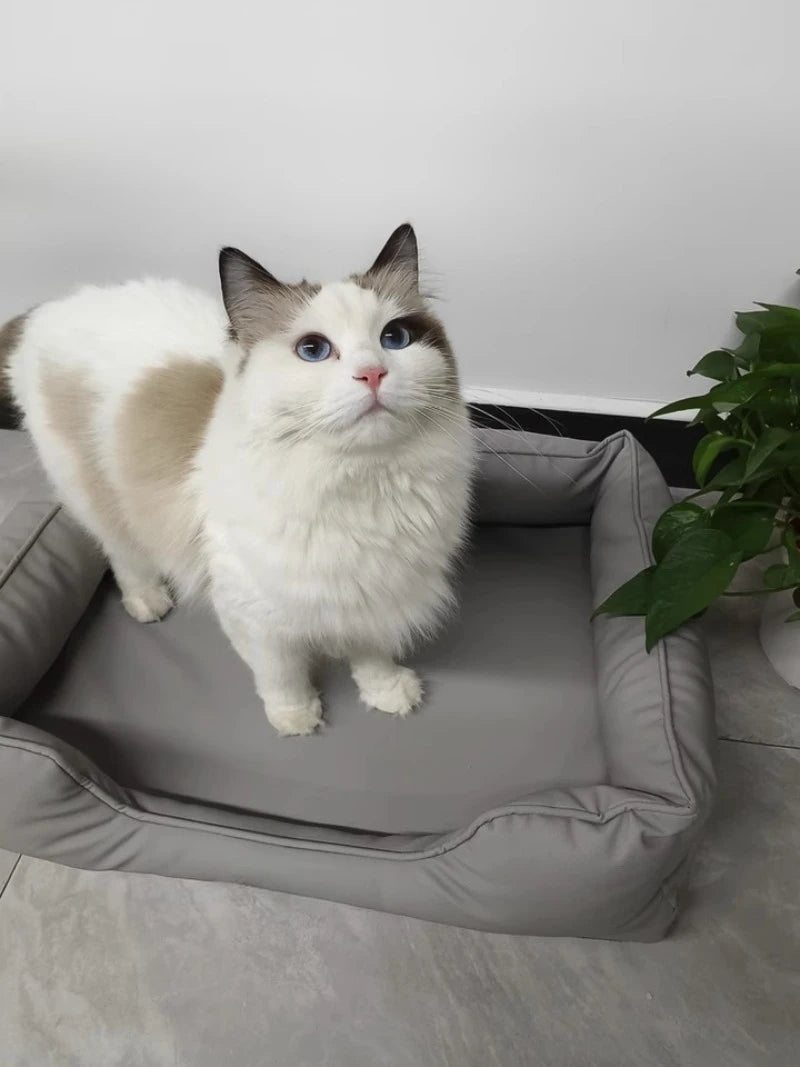 VelvPaw™ Designer Hundebett – Orthopädischer Luxus & Easy-Clean Komfort