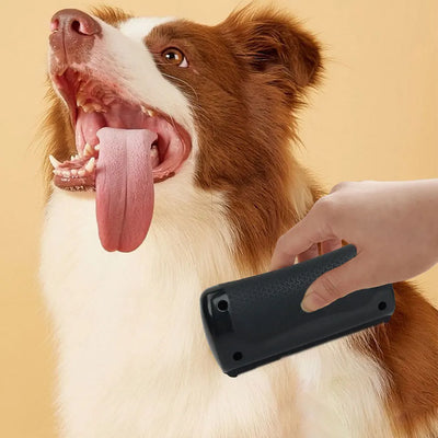 Fellpflege-Bürste entfernt lose Haare und Unterwolle schonend bei Hunden und Katzen