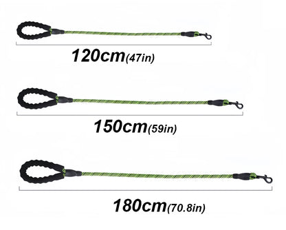 Größenvergleich mit Maßangaben 120 cm, 150 cm, 180 cm – elastische Hundeleine mit Zugentlastung