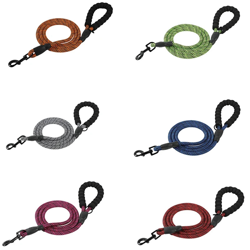 Mehrere Leinenfarben aufgereiht – SafePaw Glow Kollektion in Blau, Lila, Orange und Grün