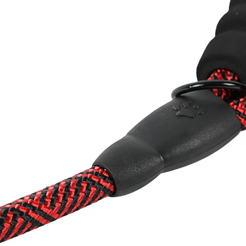 SafePaw Glow™ Leine | Schimmernde 2-in-1 Hundeleine mit Stoßdämpfung & Edelstahl-Karabiner – KraulKorb™