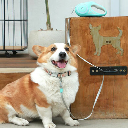 Hund mit LumiLeash LED Hundeleine – sichtbar und sicher unterwegs