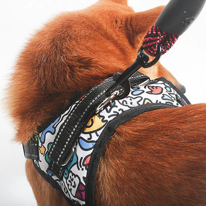 Hund mit SafePaw Glow Leine am Halsband, glänzendes Nylon reflektiert Licht