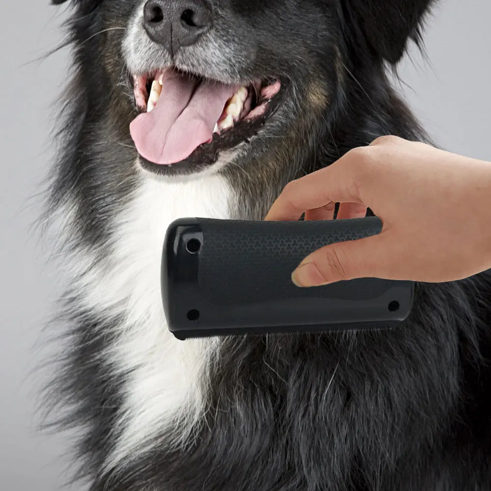 Tierhalter bürstet Hund mit Fellzauber™ – ergonomische, leicht zu reinigende Bürste