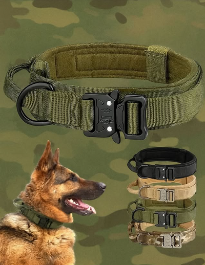 TaktiLoop™ Taktisches Hundehalsband – Robust, verstellbar & sicher | Training & Alltag