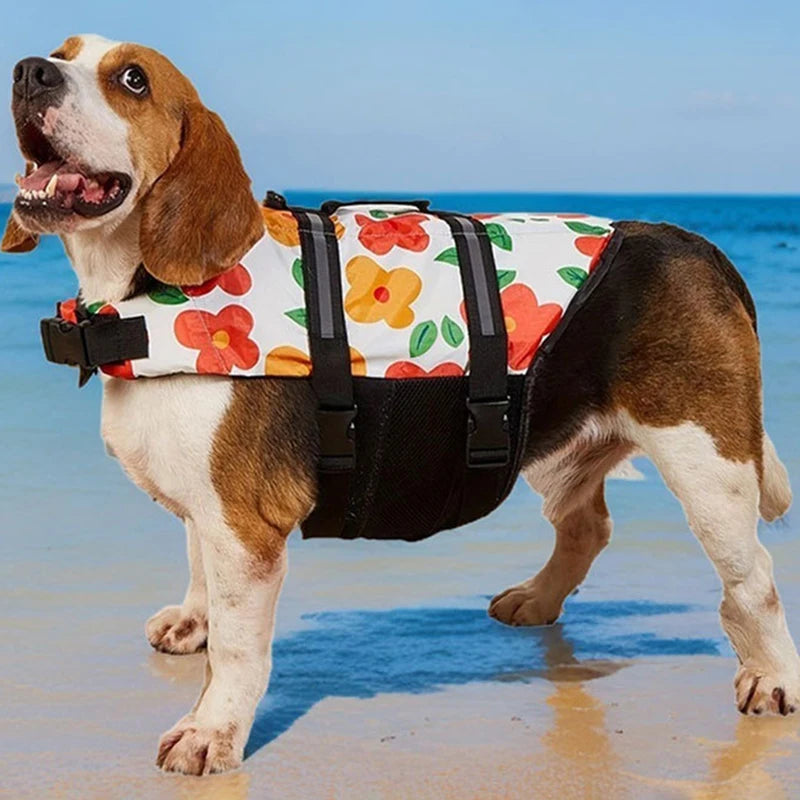 Beagle mit weiß-bunter AquaPaws™ Schwimmweste am Poolrand