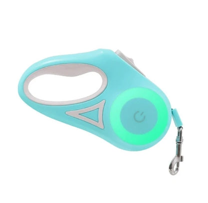 LumiLeash LED Hundeleine Mint – Sicherheit für Spaziergänge