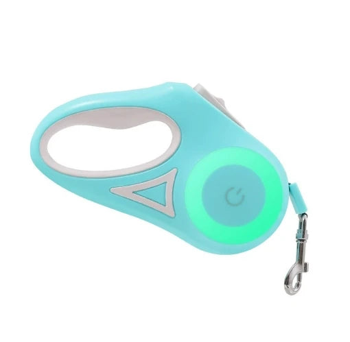 LumiLeash LED Hundeleine Mint – Sicherheit für Spaziergänge