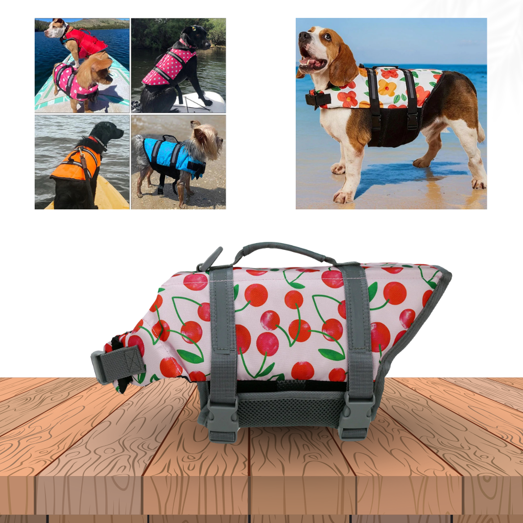 Hund mit Schwimmweste auf Boot SUP Meer