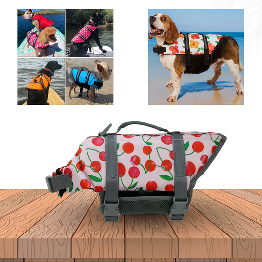 Hund mit Schwimmweste auf Boot SUP Meer