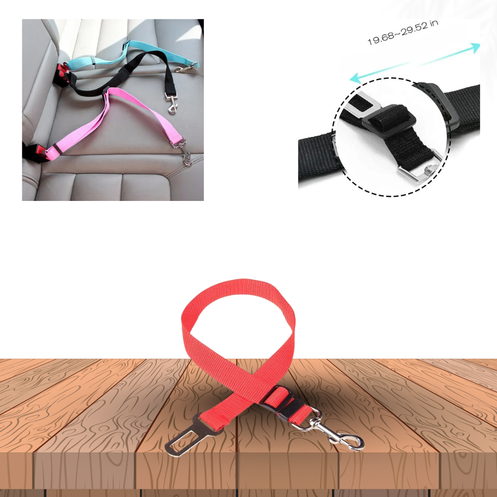 RoyalRide Sicherheitsgurt für Hunde und Katzen – Auto Sicherheitsgurt aus Nylon mit Metallverschluss