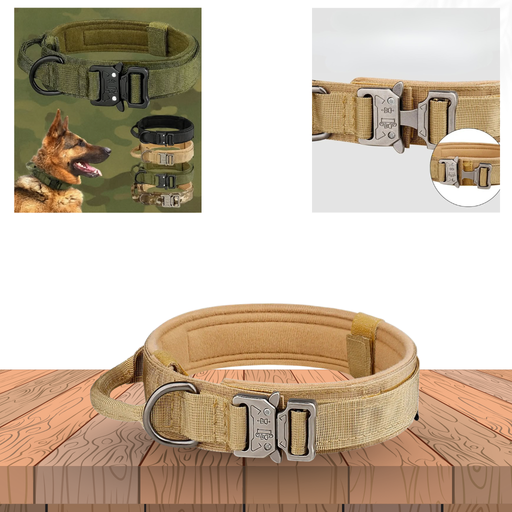 TaktiLoop™ Taktisches Hundehalsband – Robust, verstellbar & sicher | Training & Alltag