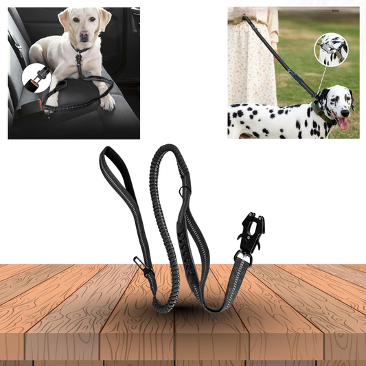 PawForce™ 4in1 Bungee-Hundeleine mit Auto-Klinke, stoßdämpfendem ZeroShock-System und gepolsterten Griffen – robuste Sicherheitsleine für Hunde, auf Holz-Hintergrund.